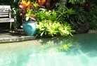 Wongyarraswimming-pool-landscaping-3.jpg; ?>